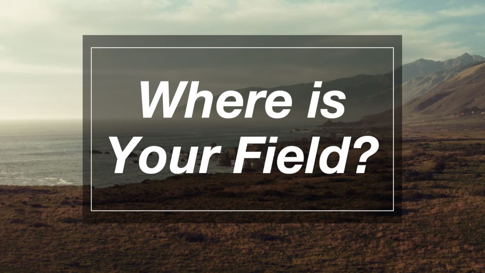 Where is Your Field? Image