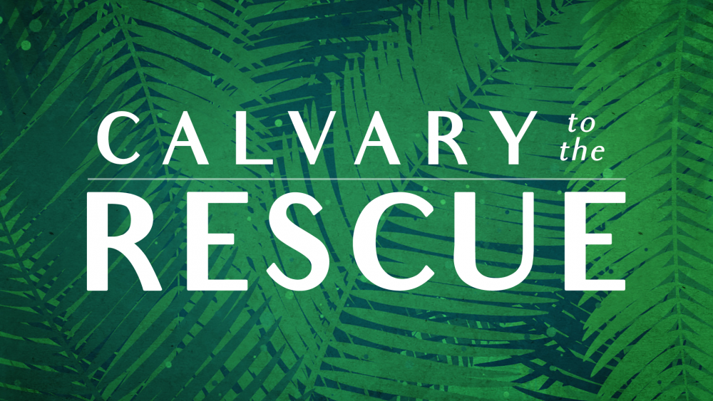 Calvary to the Rescue Image