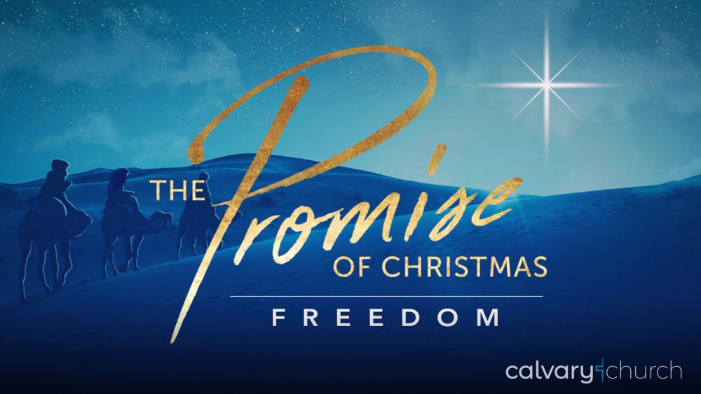 Freedom: The Promise of Christmas Image