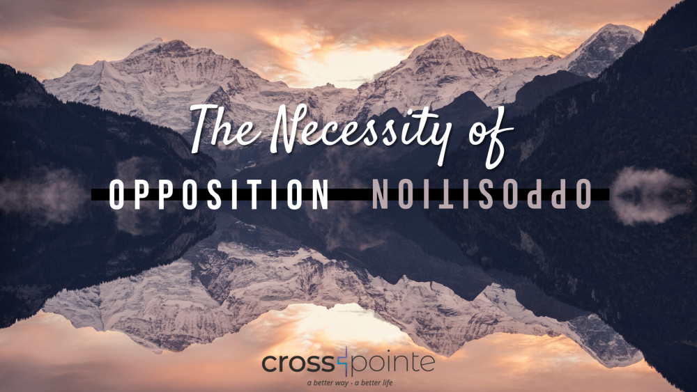Necessity of Opposition: Opportunity Resistance