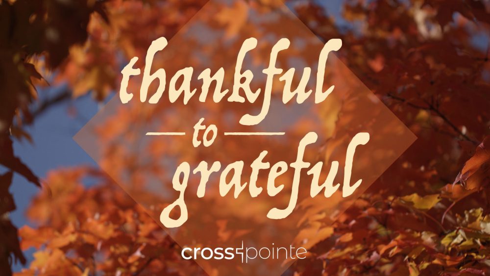 Thankful to Grateful: I'm Thankful! Image