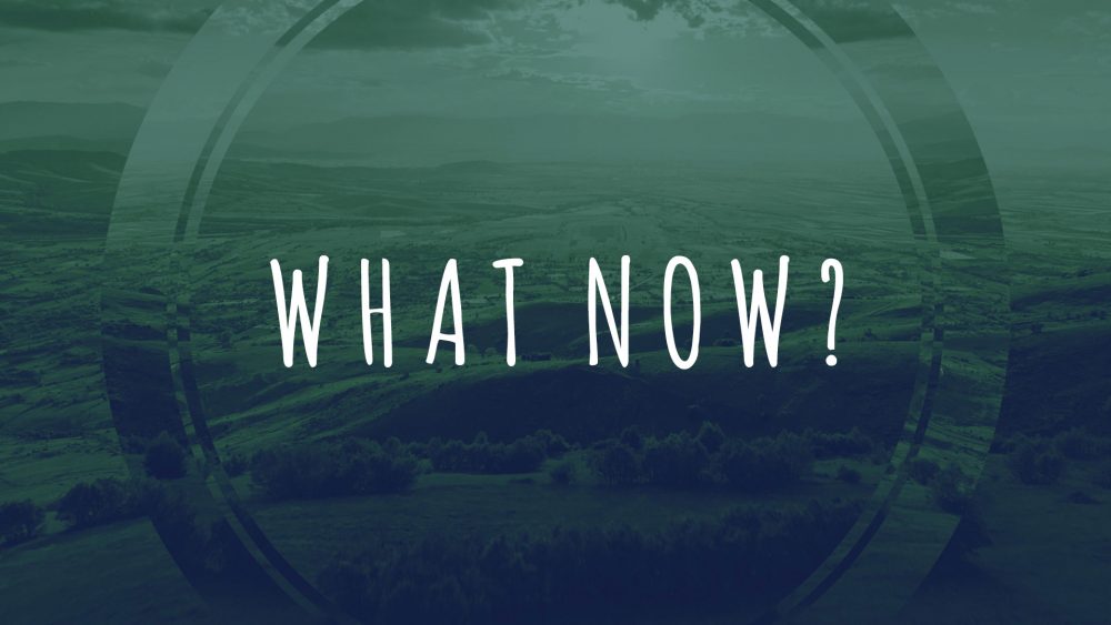 What Now? Head Out: The Direction We Go Image