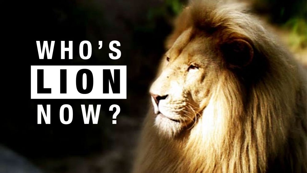 Who's Lion Now? You Can't Hide Your Lion Eyes Image